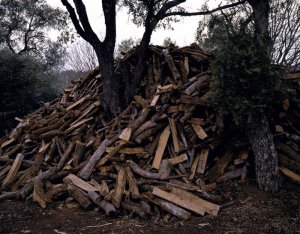 01. Vincent BERGERAT - Le tas de bois - 2005 - 120 x 150 cm - Tirage (...)