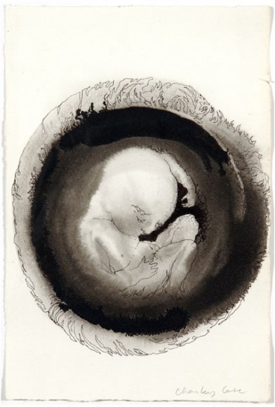 04. Charley CASE - Dessin - Inner out - encre sur papier - 2005 - 25 x 17 (...)