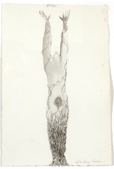 06. Charley CASE - Dessin - Inner out - encre et lavis sur papier - 2005 - (...)