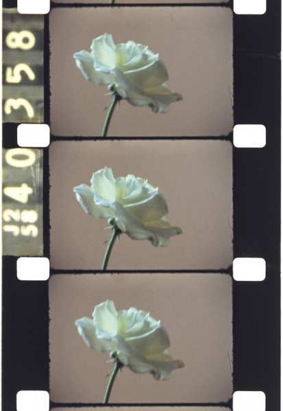 Slide Jonas MEKAS ©