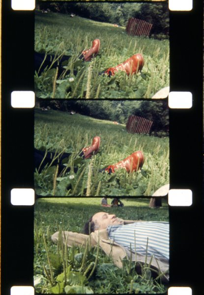 Slide Jonas MEKAS ©