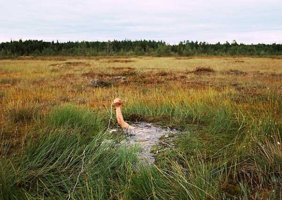 03. Antti Laitinen - "Self portrait on the swamp" - Cprint -acrylic - 2007- (...)